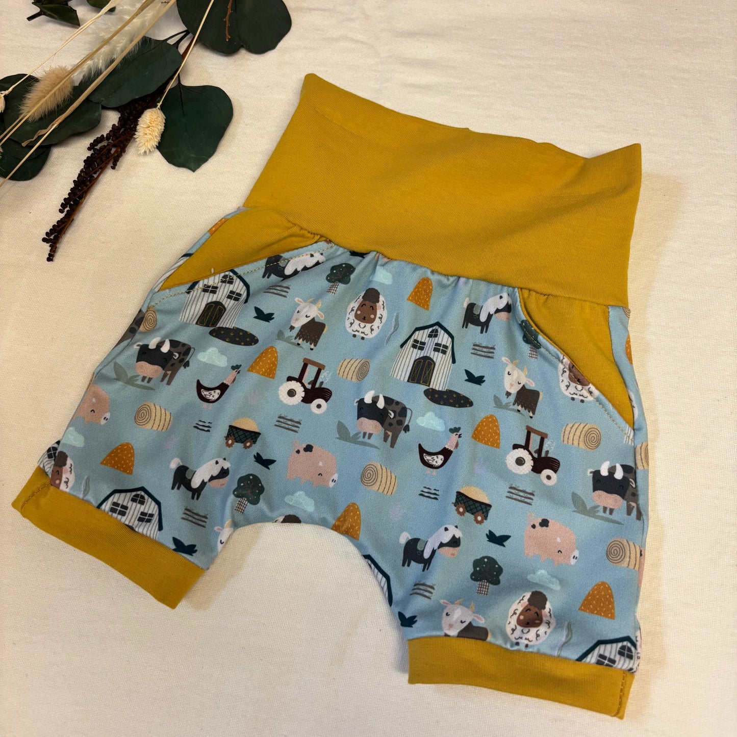 Short évolutif Mignonne fermette