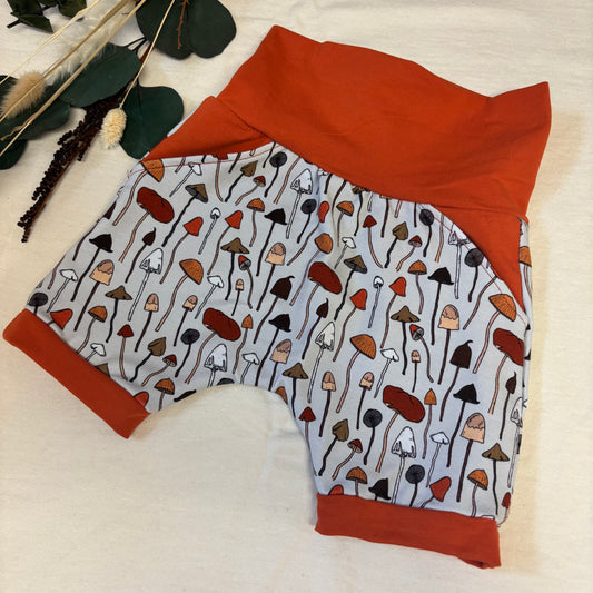 Short évolutif Mycologie automnale