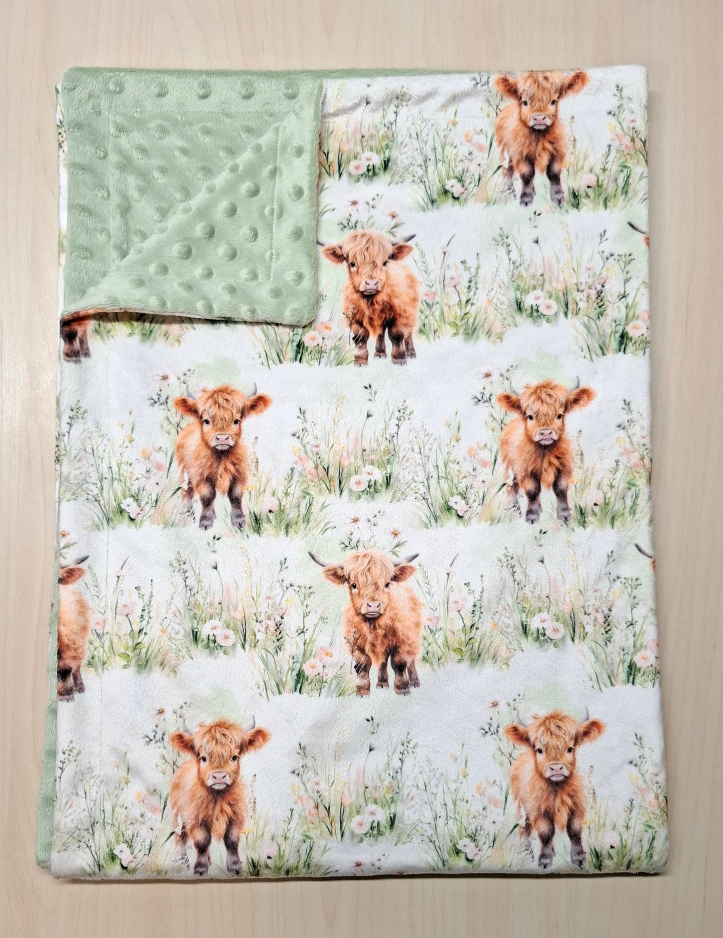 Couverture Vaches highland dans le champs
