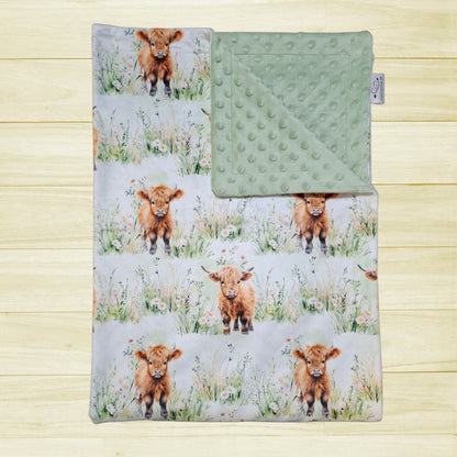 Couverture Vaches highland dans le champs