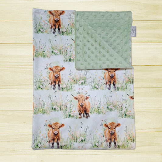 Couverture Vaches highland dans le champs